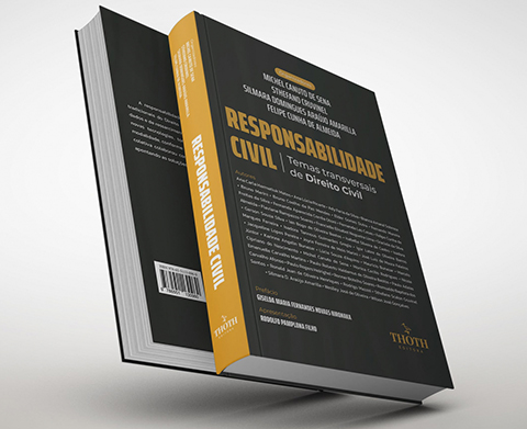 Responsabilidade Civil - Temas Transversais de Direito Civil