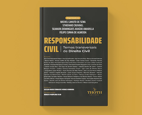 Responsabilidade Civil - Temas Transversais de Direito Civil